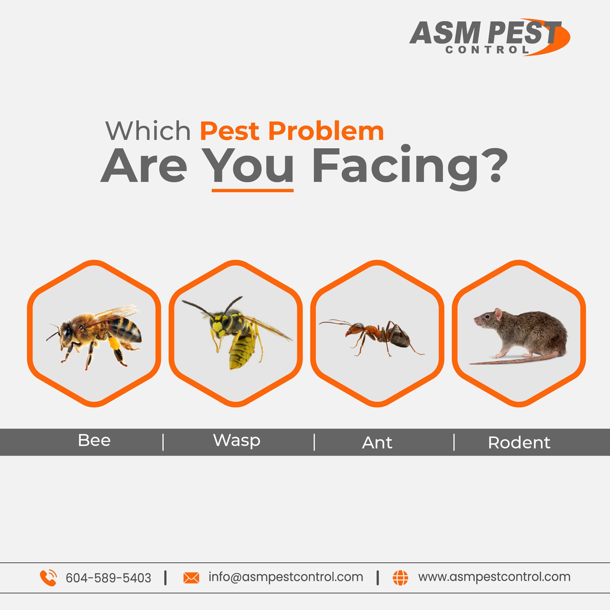 Edmonton Exterminato